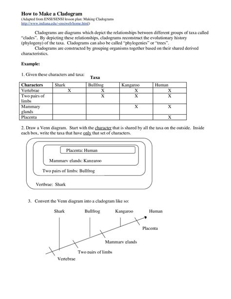 Cladogram Worksheet Answer Key