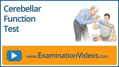 Cerebral Function Assessment