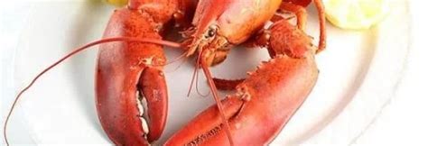 The Wonders of Lobster: From Anatomy to Health Benefits – Farm360