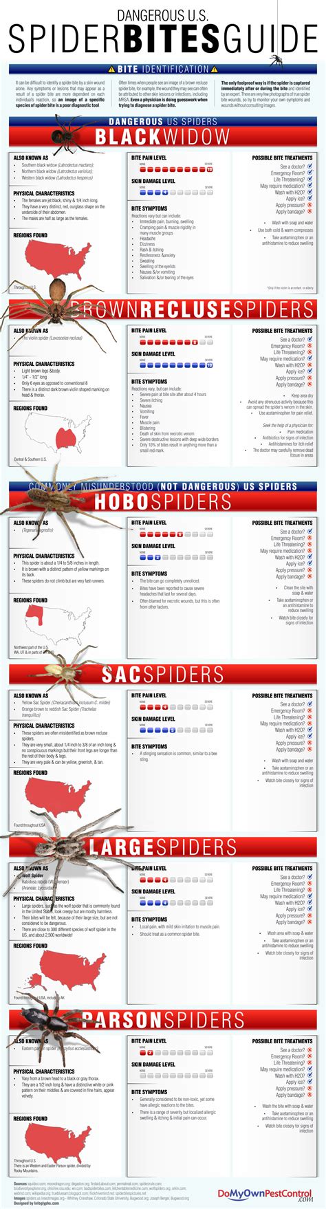 Spider Bites Guide | Spider Bite Symptoms & Treatment | DoMyOwn.com