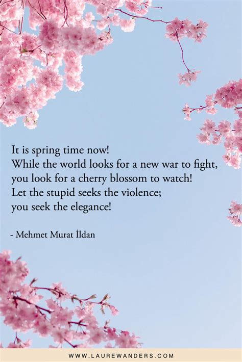 87 BEST Cherry Blossom Quotes and Captions - Laure Wanders