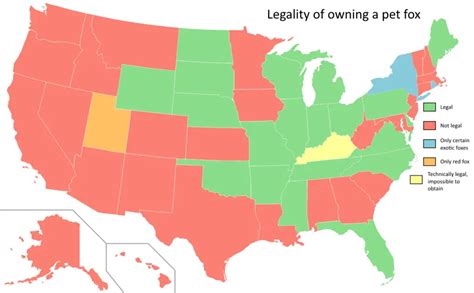 Legality of owning a pet fox by US state - Vivid Maps