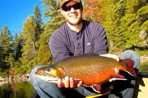 Outdoors: In search of wild brook trout - Sault Ste. Marie News