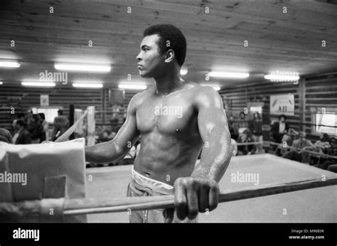 Muhammad Ali training at his camp in Deer Lake Pennsylvania. 23rd January 1974 Stock Photo - Alamy