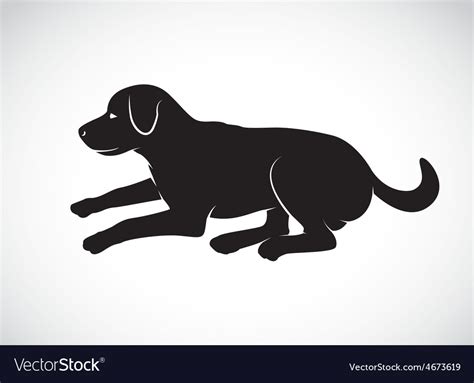 Image of an dog labrador Royalty Free Vector Image