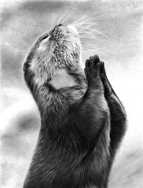 OTTER PENCIL DRAWING, by Artist Sophie Lawson