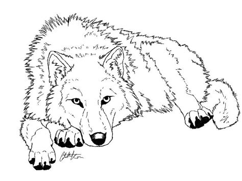 -:Resting Wolf Lineart:- by Colette-Anderson on DeviantArt | Animal sketches, Animal drawings ...