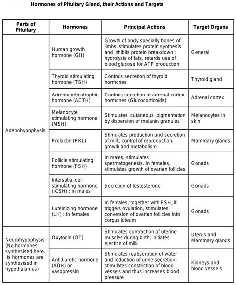 Name the hormones of pituitary and explain their functions?