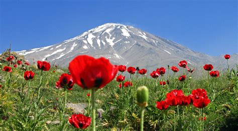 Mount Damavand - Iran Travel Guide - Trip Yar