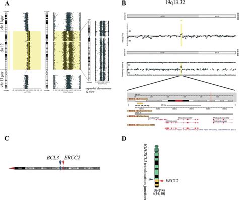 Single Nucleotide Polymorphism (SNP) array analysis. a Confirmation of... | Download Scientific ...