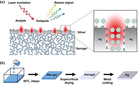 (a) Illustration of plasmon-enhanced Raman scattering mechanism for... | Download Scientific Diagram