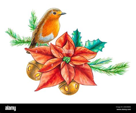 Christmas robin drawing hi-res stock photography and images - Alamy