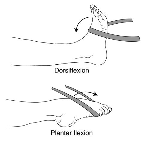 Foot and Ankle Conditioning Program - OrthoInfo - AAOS