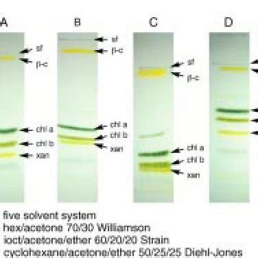 Comparison of solvent systems used on the TLC plates: (A) five-solvent ...