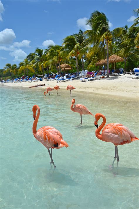 Pin on Best of Central America & Caribbean Travel