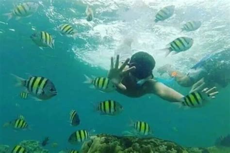 8 Spot Diving Terbaik di Pulau Mandeh, Pesisir Selatan yang Kaya Pesona Bawah Laut - iTrip