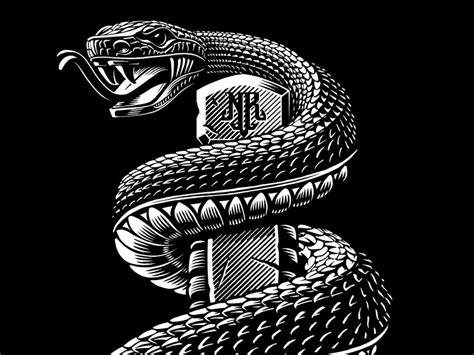 Rattlesnake Vector at Vectorified.com | Collection of Rattlesnake Vector free for personal use