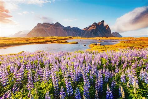 Spring in Iceland- The season series - Traveling Tips