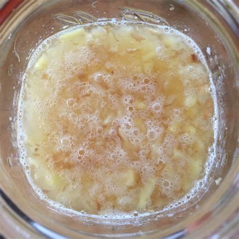 How to Make a Ginger Bug for Homemade Soda | Homestead Honey