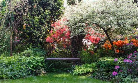 Premium Photo | Decorative trees. shrubs and flowers in the garden