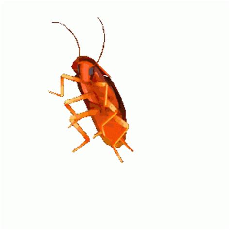 Cockroach Jumping GIF - Cockroach Jumping Colorful - Discover & Share GIFs