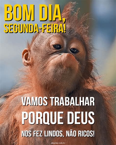 Bom dia Segunda-feira Engraçada! Frases para Animar a Semana