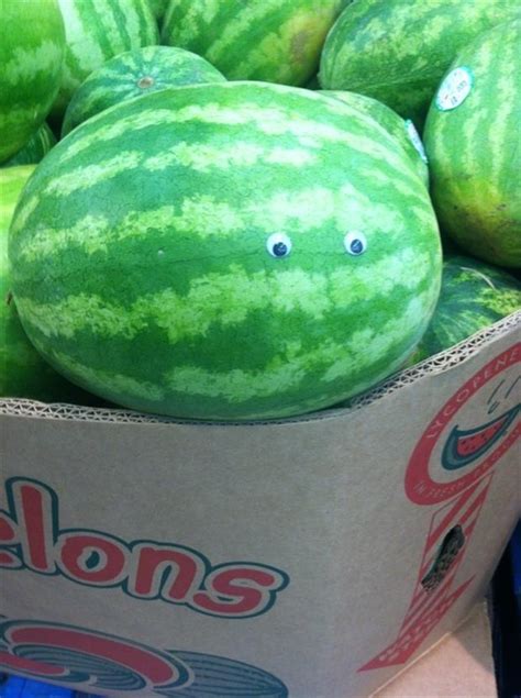 Everything Is Funnier With Googly Eyes - 37 Pics