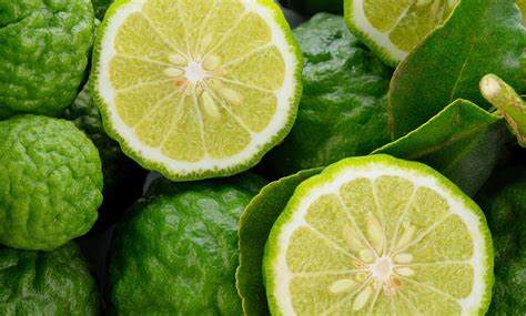 Benefits of Bergamot – Essence