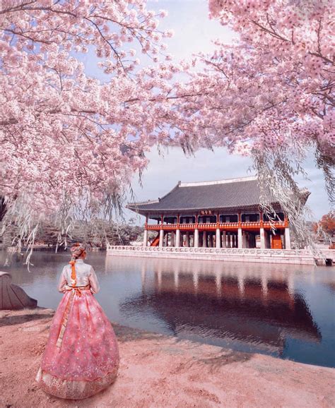 Cherry Blossom in Gyeongbokgung Palace – Seoul, South Korea - Dotz Soh