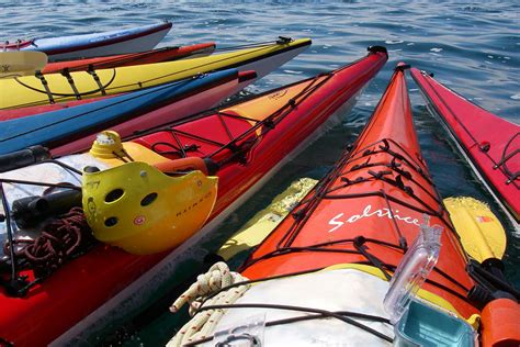 Orca Kayaking Vancouver Island | Spirit of the West Adventures