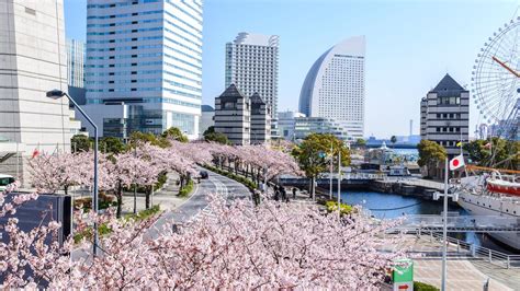 16 Best Hotels in Yokohama. Hotels from $19/night - KAYAK