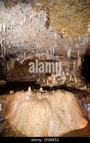 Limestone stalactites and stalagmites in Harrison's Cave, Barbados Stock Photo - Alamy