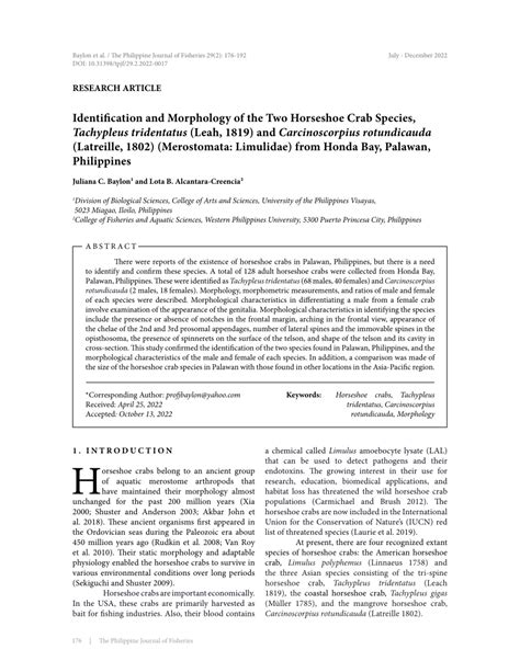 (PDF) Identification and Morphology of the Two Horseshoe Crab Species, Tachypleus tridentatus ...