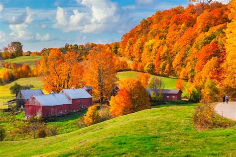 Fall Foliage Forecast 2024 Vermont - Pepi Angelika