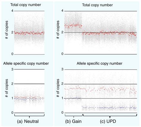 SNP array analysis to identify areas of altered copy number and allelic... | Download Scientific ...