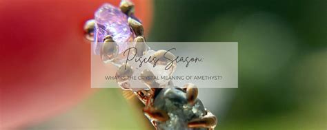 What is the Amethyst Crystal Meaning? All About the Zodiac Stone for Pisces - Olivia Ewing