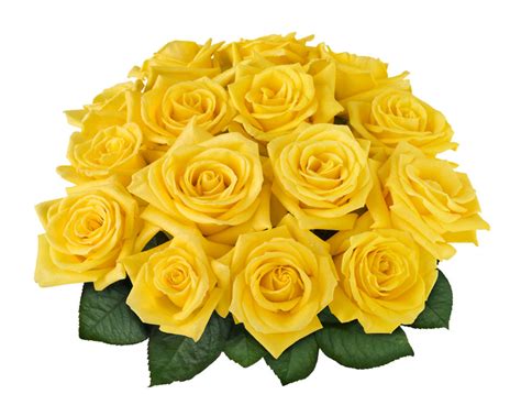 Bouquet de Rosas Amarillas o Naranjas(15/24) a domicilio con Flores4you.