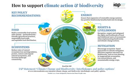 Climate change and biodiversity: 'How to support climate action and biodiversity' infographic