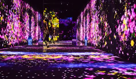 Mori Building Digital Art Museum: teamLab Borderless | Tokyo Cheapo