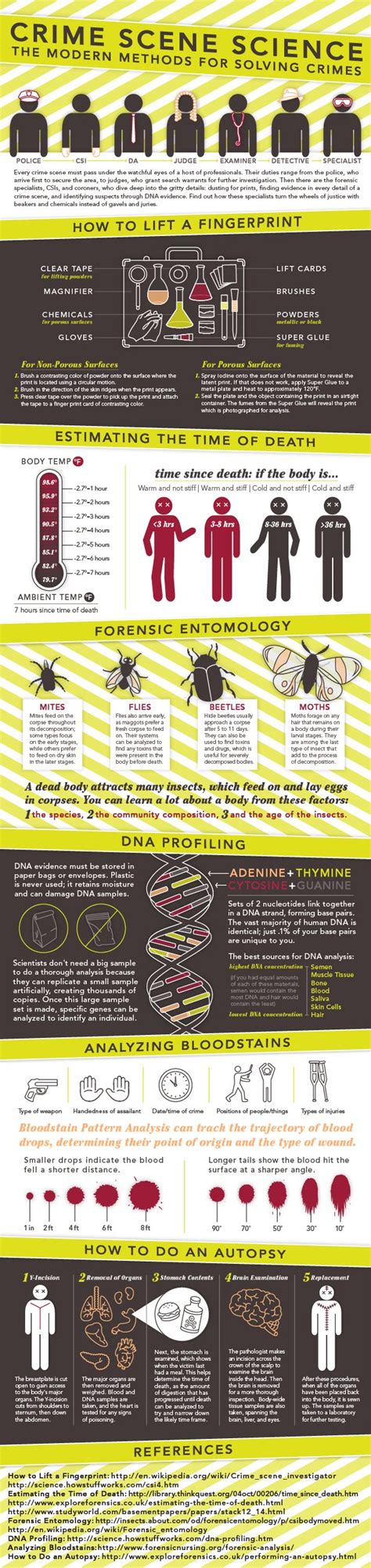 Forensic entomology infographic