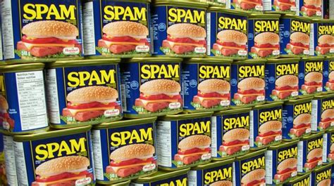 Spam, Spam, Spam | Terry Jones, Monty Python and Spam