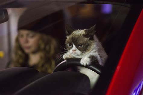 Grumpy Cat Movie Trailer: Grumpy Cat’s Worst Christmas Ever