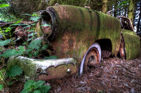 Forest Full of Abandoned Cars Photos | Image #11 - ABC News