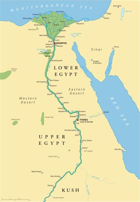 Egypt on the Nile Archives - Carnegie Museum of Natural History