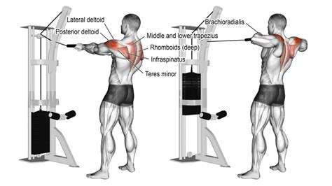 How To Do Rear Delt Cable Pull Correctly