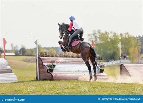 Portrait of Horse Jumping Eventing Competition Editorial Stock Photo - Image of nature, equine ...