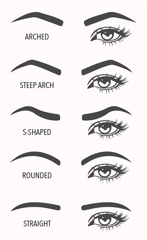 Eyebrow Shapes And Names - EyebrowShaper