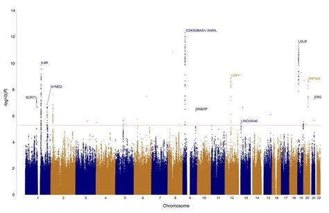 What is an SNP Array?- A Brief Overview – Genetic Education