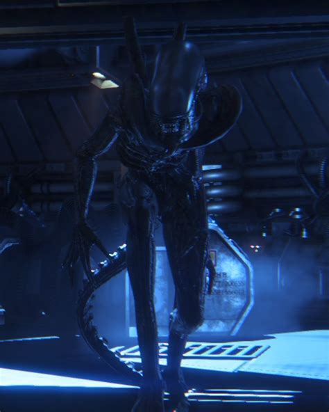 Image - Alien Isolation Larger.png | Xenopedia | Fandom powered by Wikia