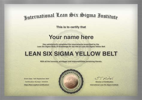 ENVISO lean six sigma yellow belt